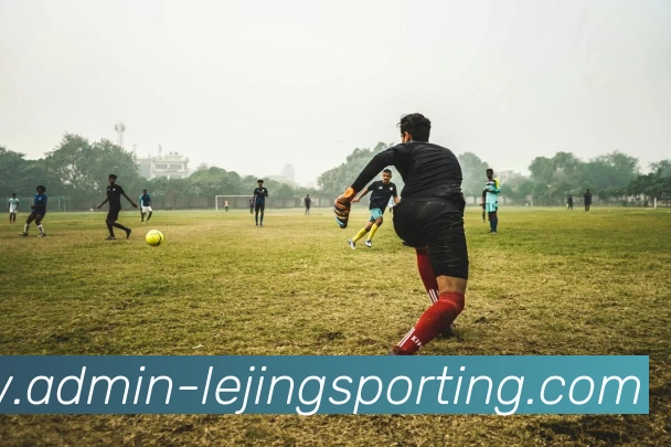 乐竞体育APP 高清赛事图